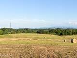  Lot 10 Summerset Drive - Photo 6