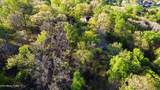 Lot 39 Apple Tree Drive - Photo 11