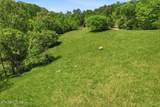 1297 Clinch River Rd - Photo 10
