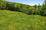 1297 Clinch River Rd - Photo 11