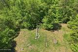 1297 Clinch River Rd - Photo 18
