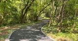 3845 Gravelly Hills Rd - Photo 12