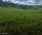  Tbd Clinch River Rd - Photo 13