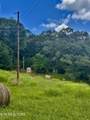 Tbd Clinch River Rd - Photo 16