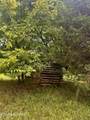  Tbd Clinch River Rd - Photo 19