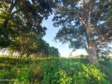  Lot 19 Summerset Drive - Photo 4