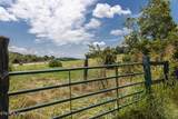  Us Highway 411 (Lot 3) - Photo 29