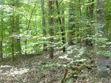  Tanglewood Rd - Photo 5