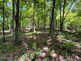 Lot 3 Highway 304 - Photo 36
