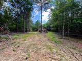 Lot 1 Highway 304 - Photo 11