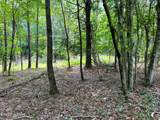 Lot 1 Highway 304 - Photo 13