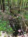 Lot 1 Highway 304 - Photo 17