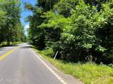 Lot 1 Highway 304 - Photo 2