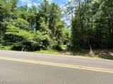 Lot 1 Highway 304 - Photo 24