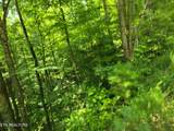 Lot 79 Yellowwood Drive - Photo 4