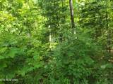 Lot 20 Hickory Tree St - Photo 4