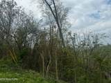 Lot 8 Hickory Pointe Lane - Photo 2