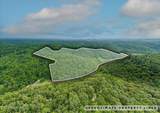  Knob Creek Rd - Photo 1