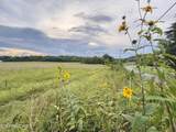  County Road 475 - Photo 45