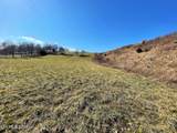 4 Acres Highway 321 - Photo 10