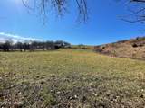 4 Acres Highway 321 - Photo 11