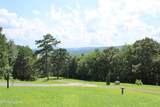 203 Meadow Green Lane - Photo 58