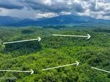  Birds Creek Rd - Photo 13
