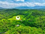  Birds Creek Rd - Photo 25