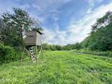  Smith Creek Rd - Photo 13