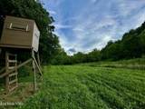 Smith Creek Rd - Photo 38