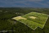  Alex Bales (39.31 Acres) Rd - Photo 17