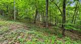  Graves Hollow Lot 2 Rd - Photo 7