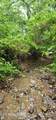  Rockhouse Creek - Church Rd - Photo 8