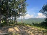 635 Cumberland Cove Road - Photo 4