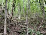  Frost Bottom Rd - Photo 13