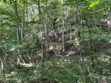  Frost Bottom Rd - Photo 14