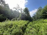  Frost Bottom Rd - Photo 4