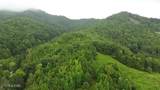 60 acres Wears Valley Rd - Photo 5