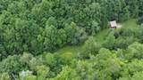 60 acres Wears Valley Rd - Photo 6