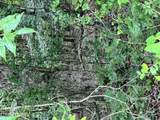  Lot 3 Prigmore Ridge Rd - Photo 5