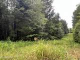  Lot 1 Prigmore Ridge Rd - Photo 3