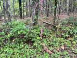  Lot 4 Prigmore Ridge Rd - Photo 1