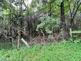  Lot 7 Willie Prigmore Rd - Photo 1