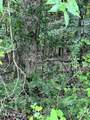  Lot 7 Willie Prigmore Rd - Photo 5