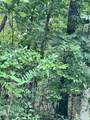  Lot 11 Willie Prigmore Rd - Photo 2