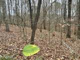 Lot 1 Evergreen Drive - Photo 6
