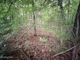  Lot 1 Evergreen Drive - Photo 9