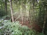  Lot 2 Evergreen Drive - Photo 5