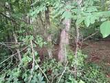  Lot 4 Evergreen Drive - Photo 2