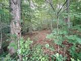 Lot 4 Evergreen Drive - Photo 3